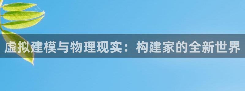 威九国际com：虚拟建模与物理现实：构建家的全新世界