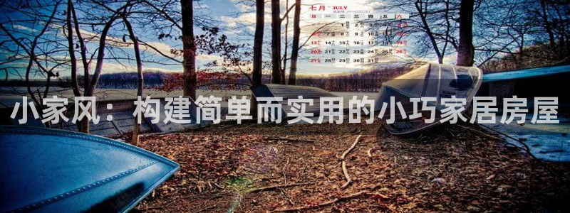 威九国际m78：小家风：构建简单而实用的小巧家居房屋