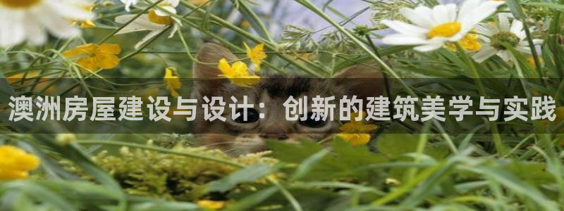 威九国际78mb下：澳洲房屋建设与设计：创新的建筑美学与实践