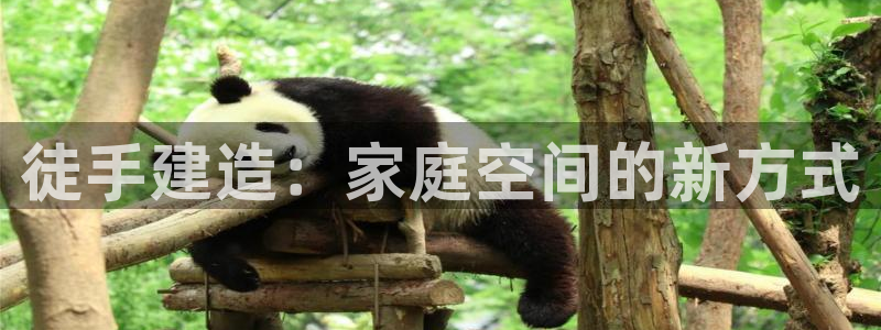 威九国际网站怎么样可靠吗：徒手建造：家庭空间的新方式