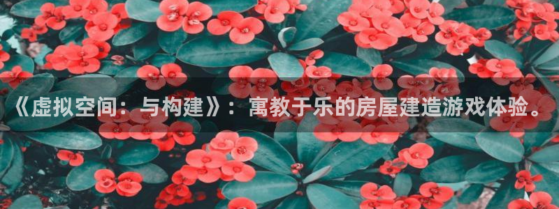 威九国际精修! #手机使用技巧：《虚拟空间：与构建》：寓教于乐的房屋建造游戏体验。