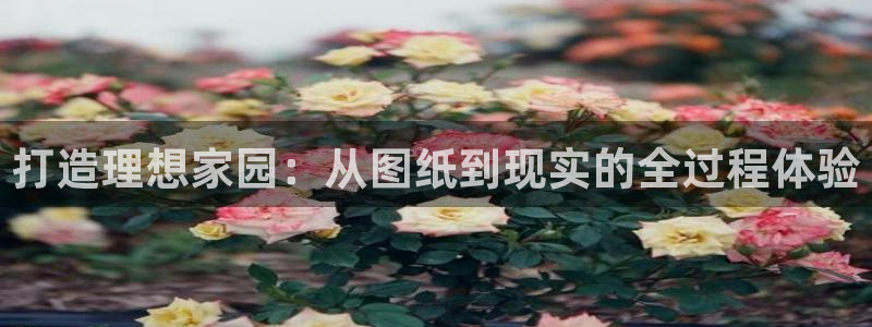 威九国际新人白发：打造理想家园：从图纸到现实的全过程体验