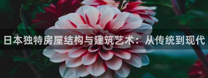 威九国际官方网站最新版本更新内容介绍：日本独特房屋结构与建筑艺术：从传统到现代