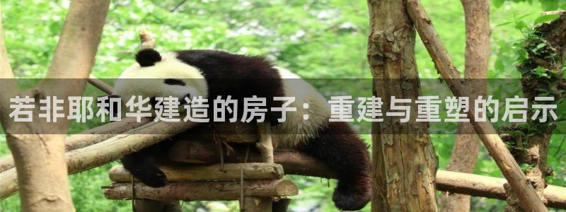 威九国际app网站官网：若非耶和华建造的房子：重建与重塑的启示