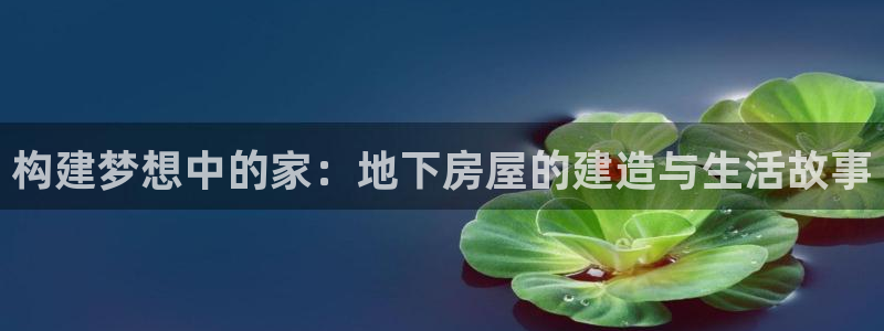 威九国际成长模式：构建梦想中的家：地下房屋的建造与生活故事