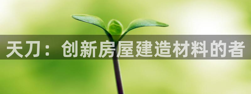 威九国际HP：天刀：创新房屋建造材料的者