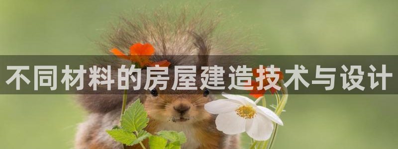威九国际下载：不同材料的房屋建造技术与设计
