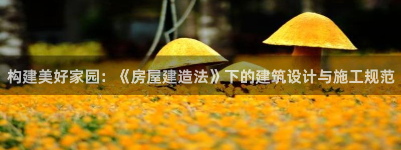 威九国际网站进入产品中心：构建美好家园：《房屋建造法》下的建筑设计与施工规范