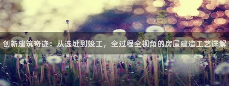 威九国际空降服务女演员名字：创新建筑奇迹：从选址到竣工，全过程全视角的房屋建造工艺详解