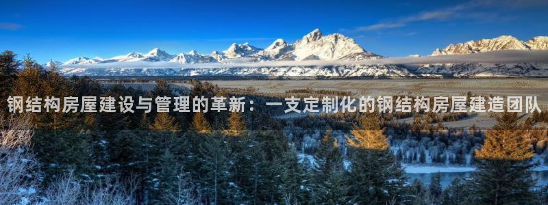 威九国际网站入口官网免费下载：钢结构房屋建设与管理的革新：一支定制化的钢结构房屋建造团队