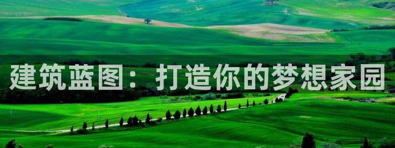 威九国际取款不会被骗吧：建筑蓝图：打造你的梦想家园