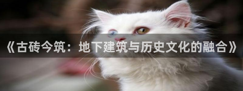 威九国际可以提现吗：《古砖今筑：地下建筑与历史文化的融合》