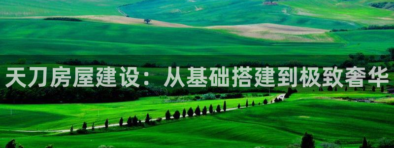78mapp威九国际一：天刀房屋建设：从基础搭建到极致奢华