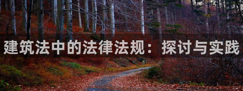 威九国际下载：建筑法中的法律法规：探讨与实践