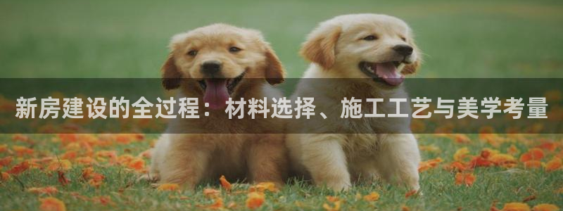 威九国际网页看视频弹窗的广告拦截插件