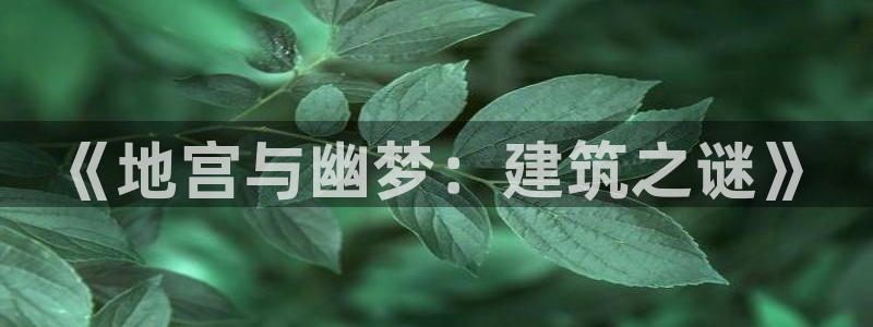 威九国际网站经常打不开网页
