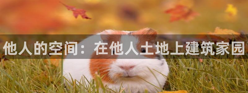 威九国际78map.p：他人的空间：在他人土地上建筑家园