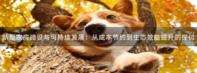 威九国际app网站安全吗：新型农房建设与可持续发展：从成本节约到生态效益提升的探