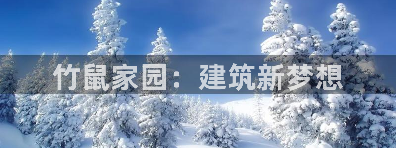 威九国际女主名字