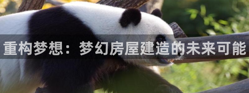 威九国际软件：重构梦想：梦幻房屋建造的未来可能