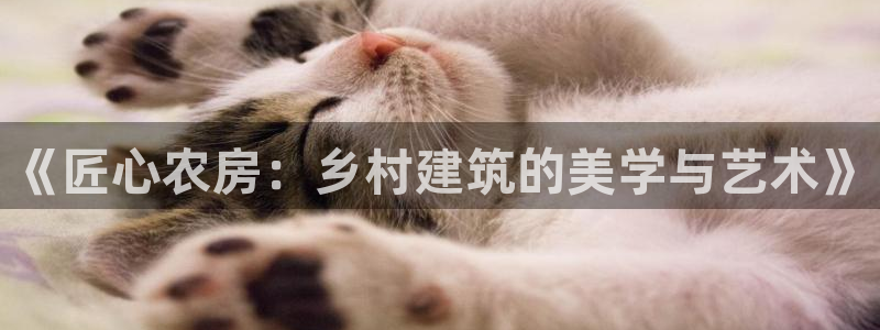 威九国际在线平台怎么样啊：《匠心农房：乡村建筑的美学与艺术》