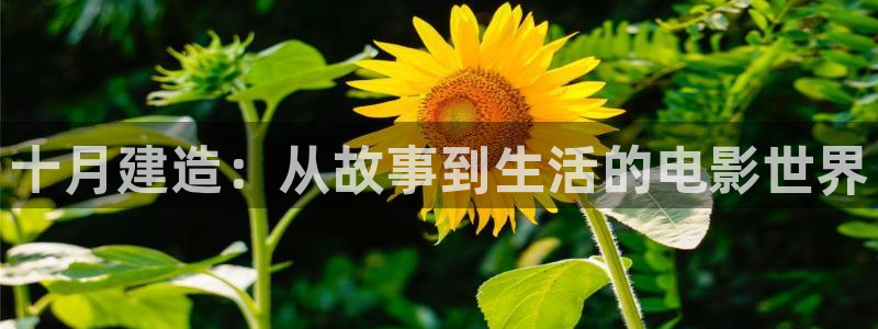 威九国际成长模式怎么样：十月建造：从故事到生活的电影世界
