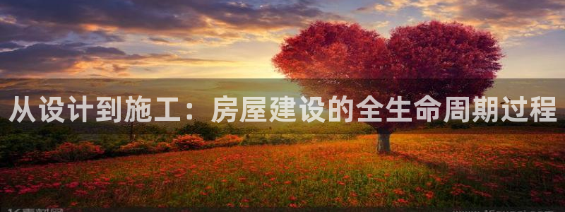 威九国际地址：从设计到施工：房屋建设的全生命周期过程