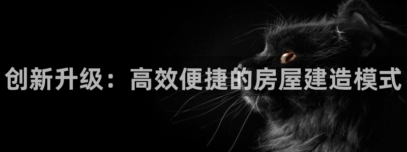 威九国际的网站入口在哪里：创新升级：高效便捷的房屋建造模式