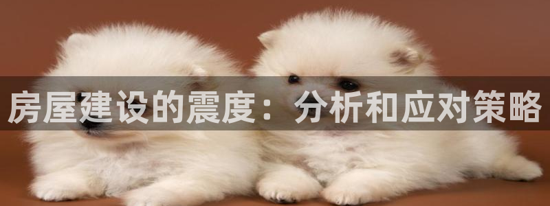 威九国际软件公司简介：房屋建设的震度：分析和应对策略