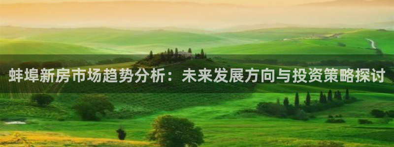 威九国际精选酒店电话：蚌埠新房市场趋势分析：未来发展方向与投资策略探讨