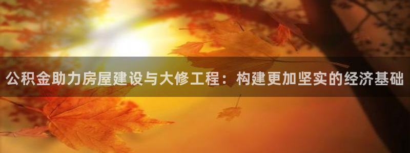威九国际风情万种：公积金助力房屋建设与大修工程：构建更加坚实的经济基础