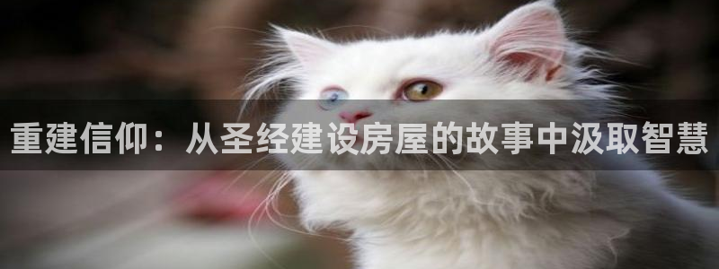 威九国际网站下载：重建信仰：从圣经建设房屋的故事中汲取智慧