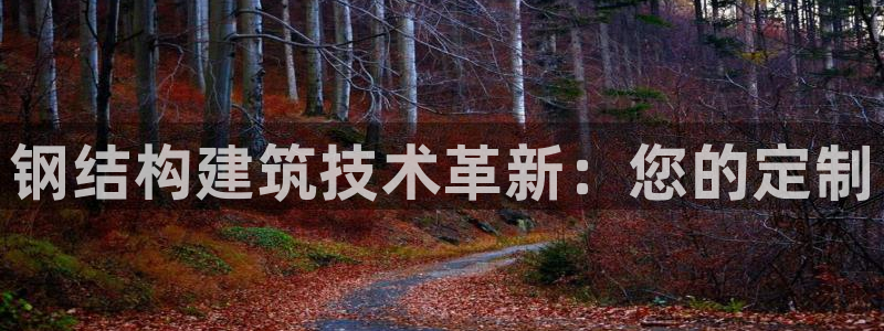 威九国际免费游戏：钢结构建筑技术革新：您的定制