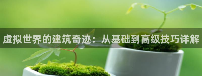 威九国际网站入口地址查询：虚拟世界的建筑奇迹：从基础到高级技巧详解