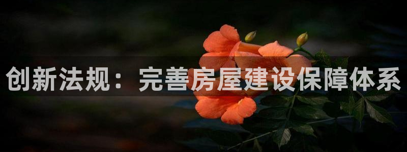 威九国际免费进入：创新法规：完善房屋建设保障体系