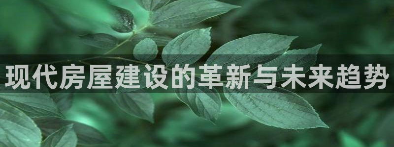 威九国际狂飚电影：现代房屋建设的革新与未来趋势