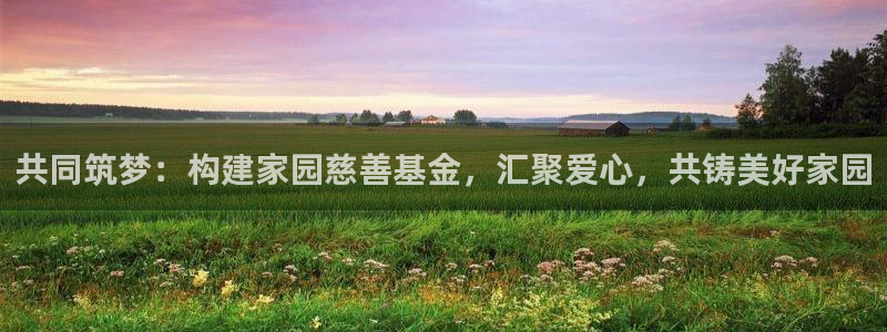 威九国际78mb42：共同筑梦：构建家园慈善基金，汇聚爱心，共铸美好家园