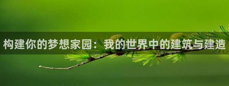 78mapp威九国际一：构建你的梦想家园：我的世界中的建筑与建造