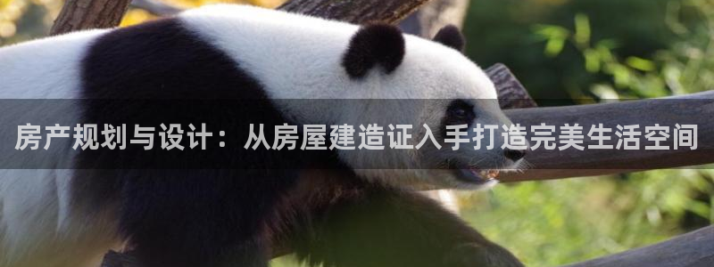 威九国际游戏网站：房产规划与设计：从房屋建造证入手打造完美生活空间