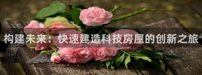 威九国际MV：构建未来：快速建造科技房屋的创新之旅