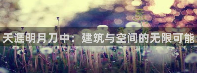 威九国际取款不会被骗吧吗：天涯明月刀中：建筑与空间的无限可能