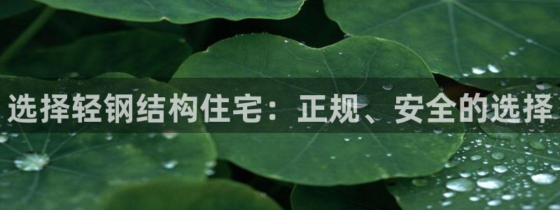 威九国际体育：选择轻钢结构住宅：正规、安全的选择