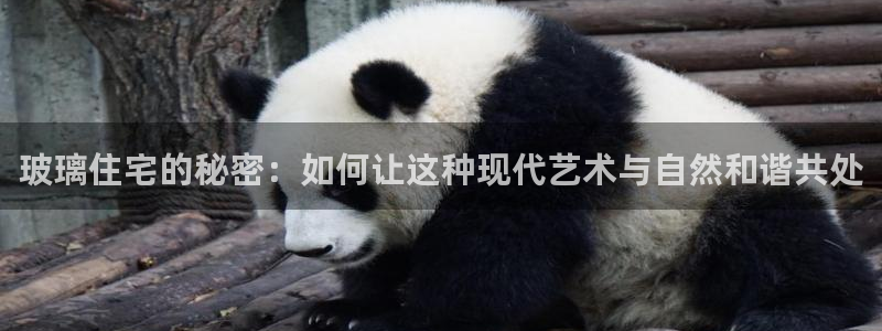 威九国际电影HD：玻璃住宅的秘密：如何让这种现代艺术与自然和谐共处