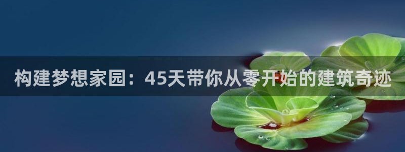 威九国际提款不出来：构建梦想家园：45天带你从零开始的建筑奇迹