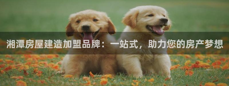 威九国际免费进入：湘潭房屋建造加盟品牌：一站式，助力您的房产梦想