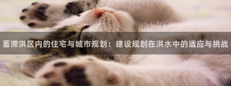 威九国际客服电话：蓄滞洪区内的住宅与城市规划：建设规划在洪水中的适应与挑战