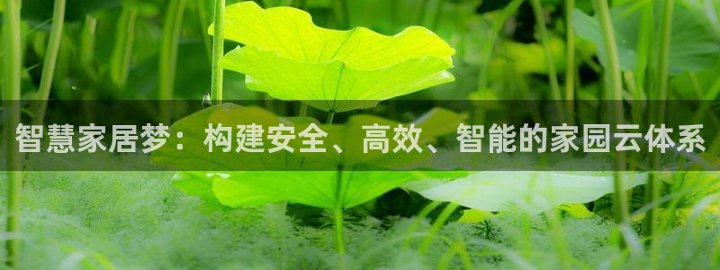 威九国际免费版：智慧家居梦：构建安全、高效、智能的家园云体系
