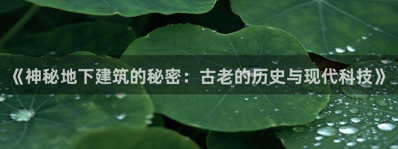 威九国际提款不出来：《神秘地下建筑的秘密：古老的历史与现代科技》