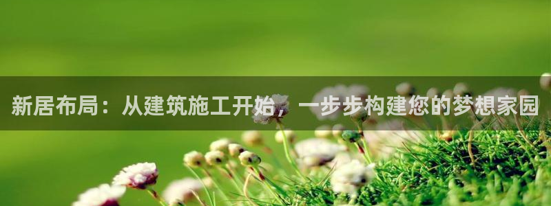 威九国际软件：新居布局：从建筑施工开始，一步步构建您的梦想家园