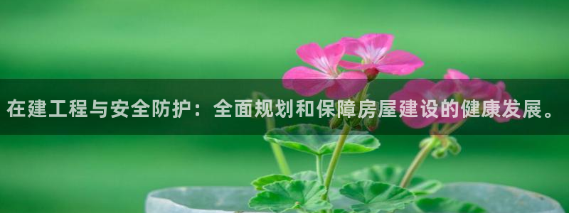 威九国际免费v5.5.2新版本特性：在建工程与安全防护：全面规划和保障房屋建设的